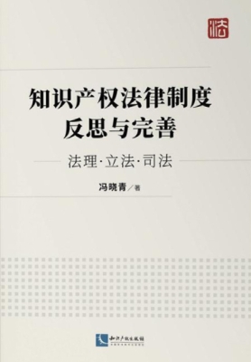 知识产权法律制度反思
