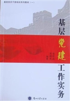 基层党建工作实务
