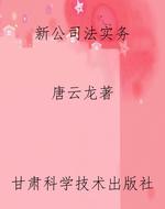 新《公司法》实务