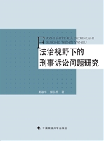 法治视野下的刑事诉讼