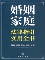 婚姻家庭法律指引实用