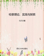检察理论、实践与探索