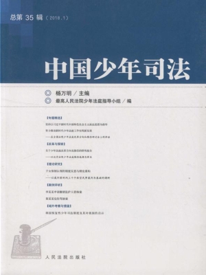 中国少年司法 2018年