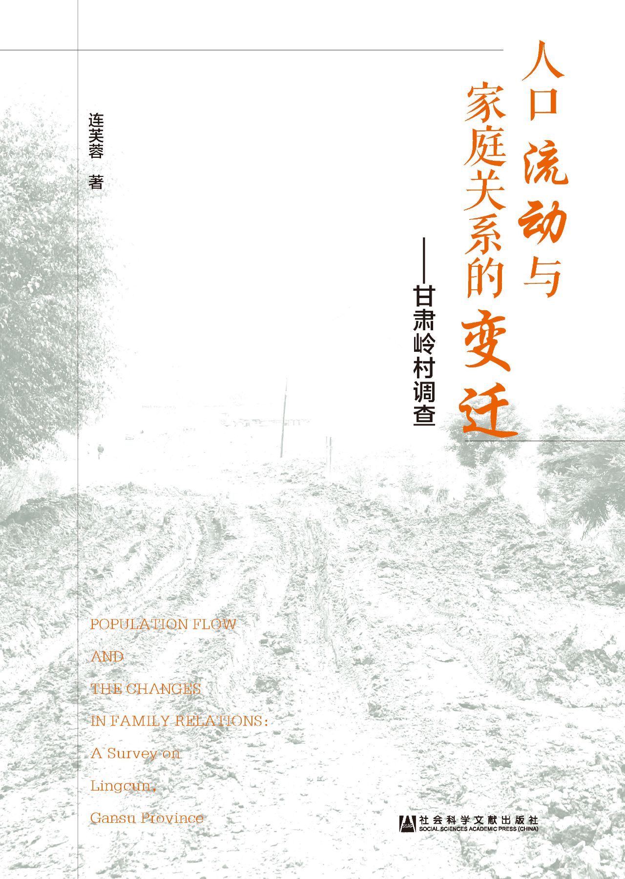 人口流动与家庭关系的