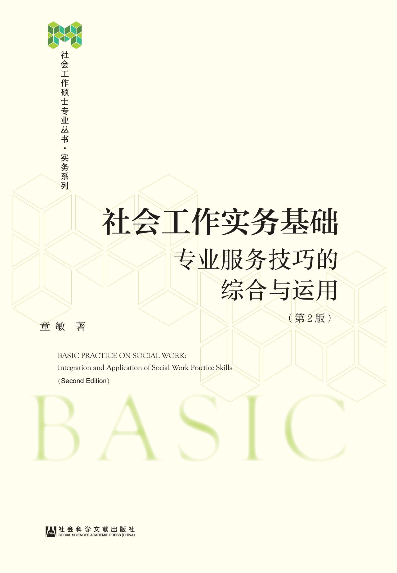 社会工作实务基础：专业