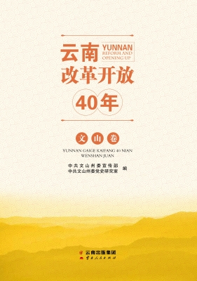 云南改革开放40年（文山