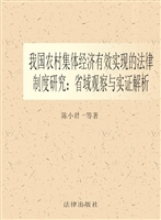 我国农村集体经济有效