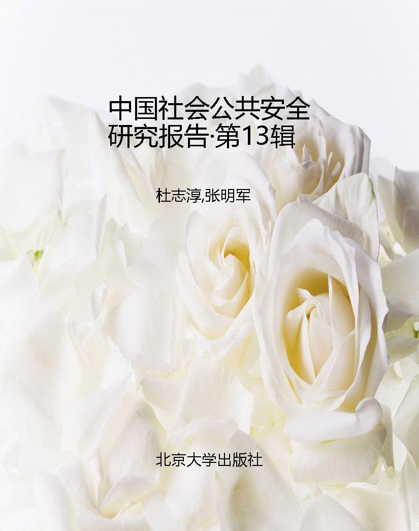 中国社会公共安全研究