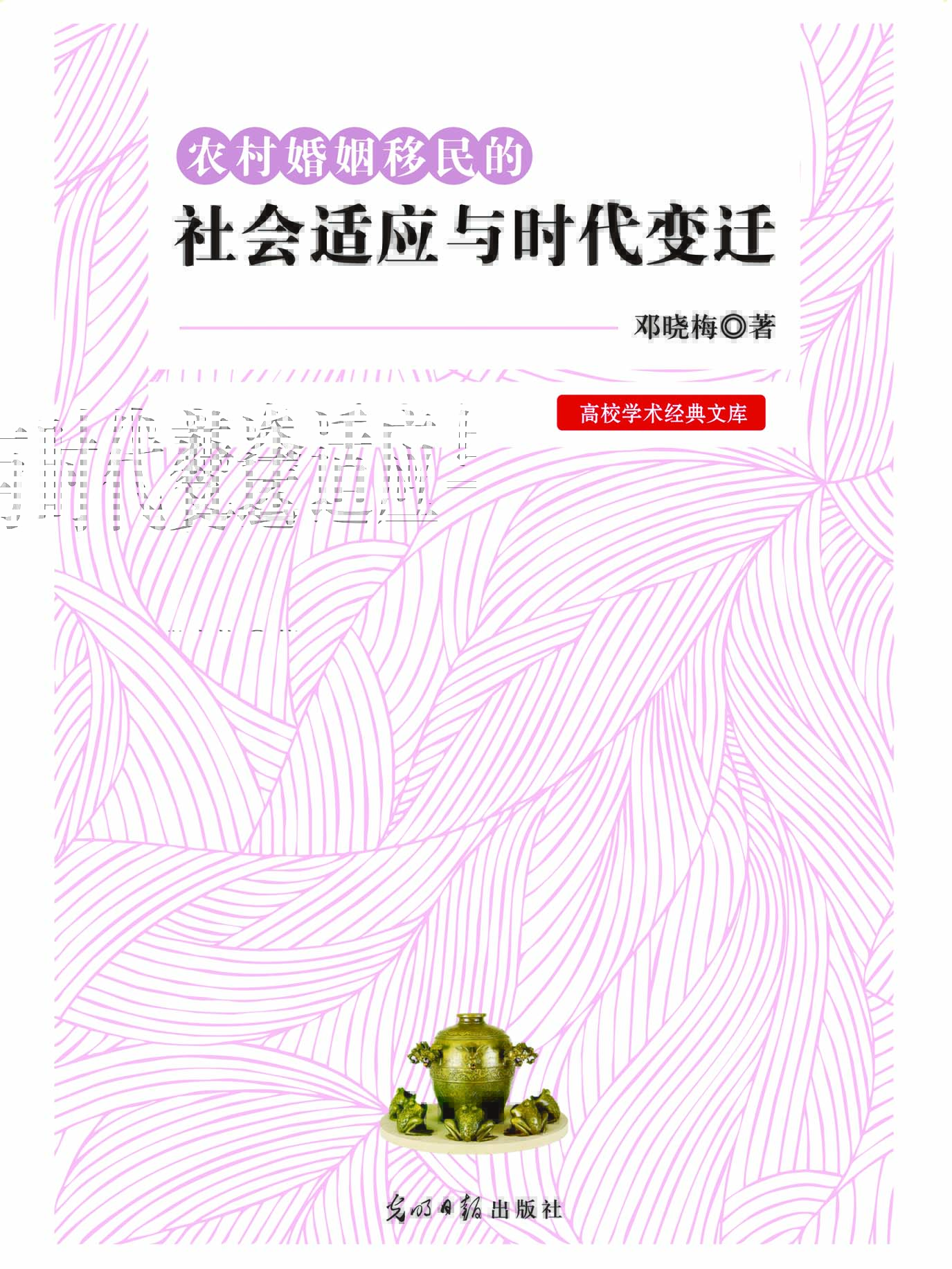 农村婚姻移民的社会适
