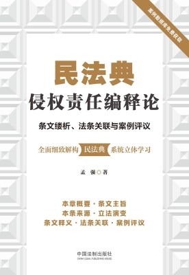 民法典侵权责任编释论