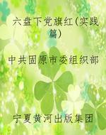 六盘下党旗红（实践篇）