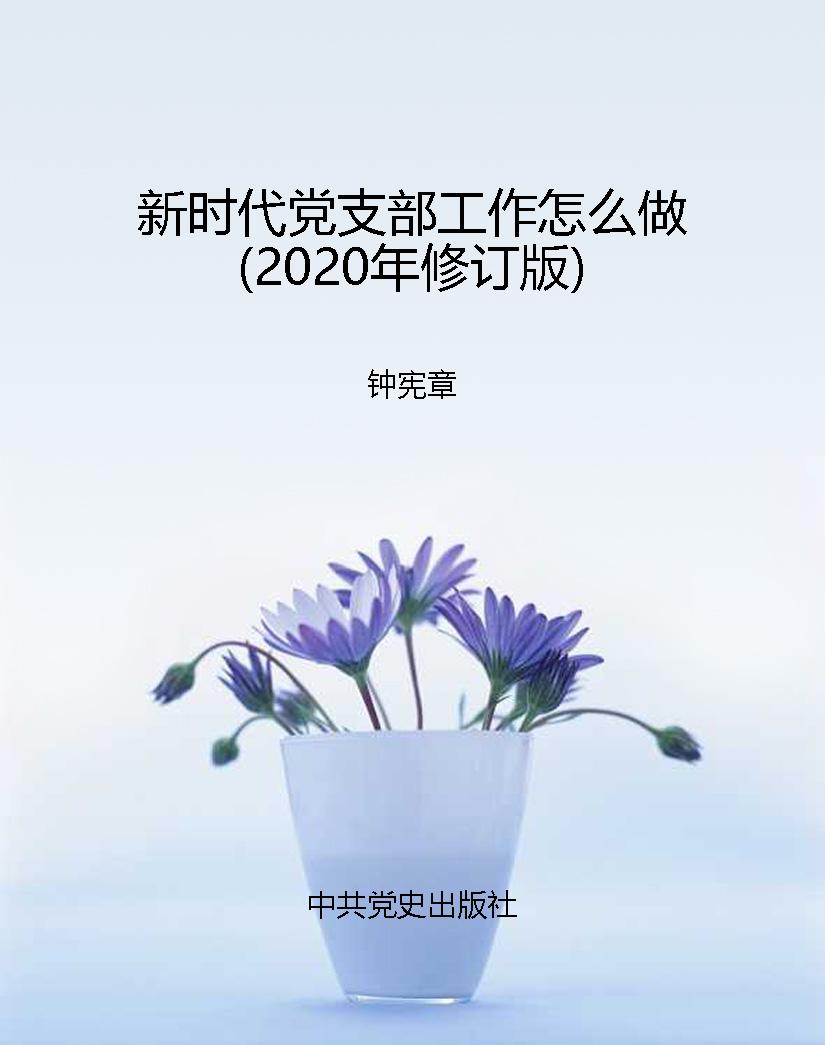 新时代党支部工作怎么