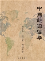 中国能源法学