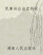 民事诉讼法实例说