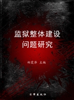 监狱整体建设问题研究