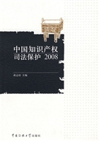 中国知识产权司法保护