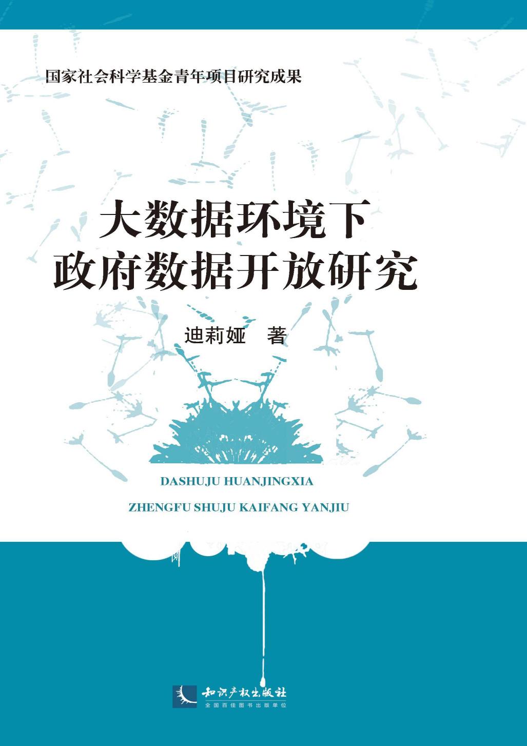 大数据环境下政府数据