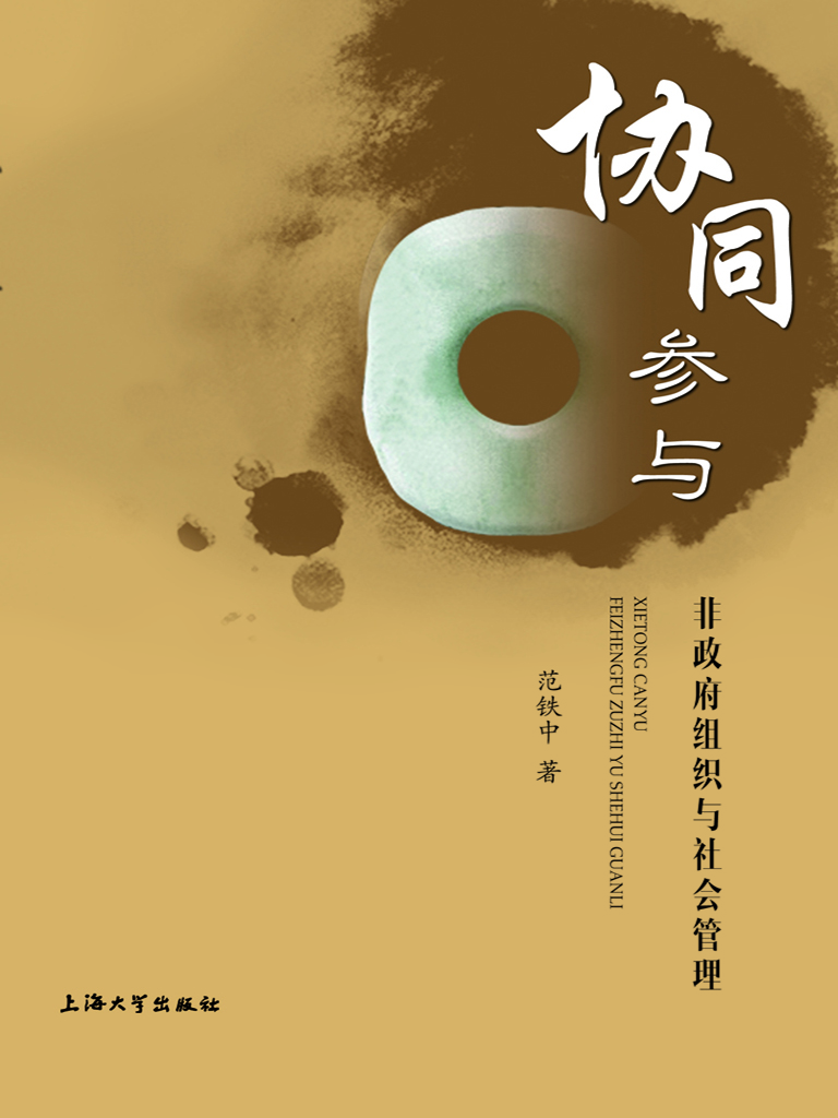 协同参与——非政府组