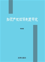 知识产权担保制度研究