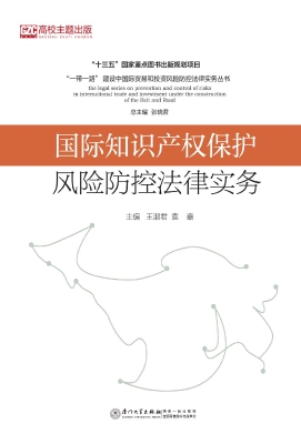 国际知识产权保护风险