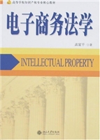 电子商务法学