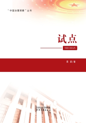 试点