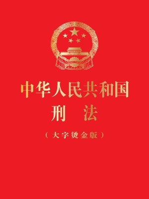 中华人民共和国刑法（大