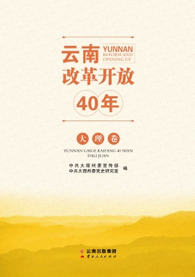 云南改革开放40年（大理