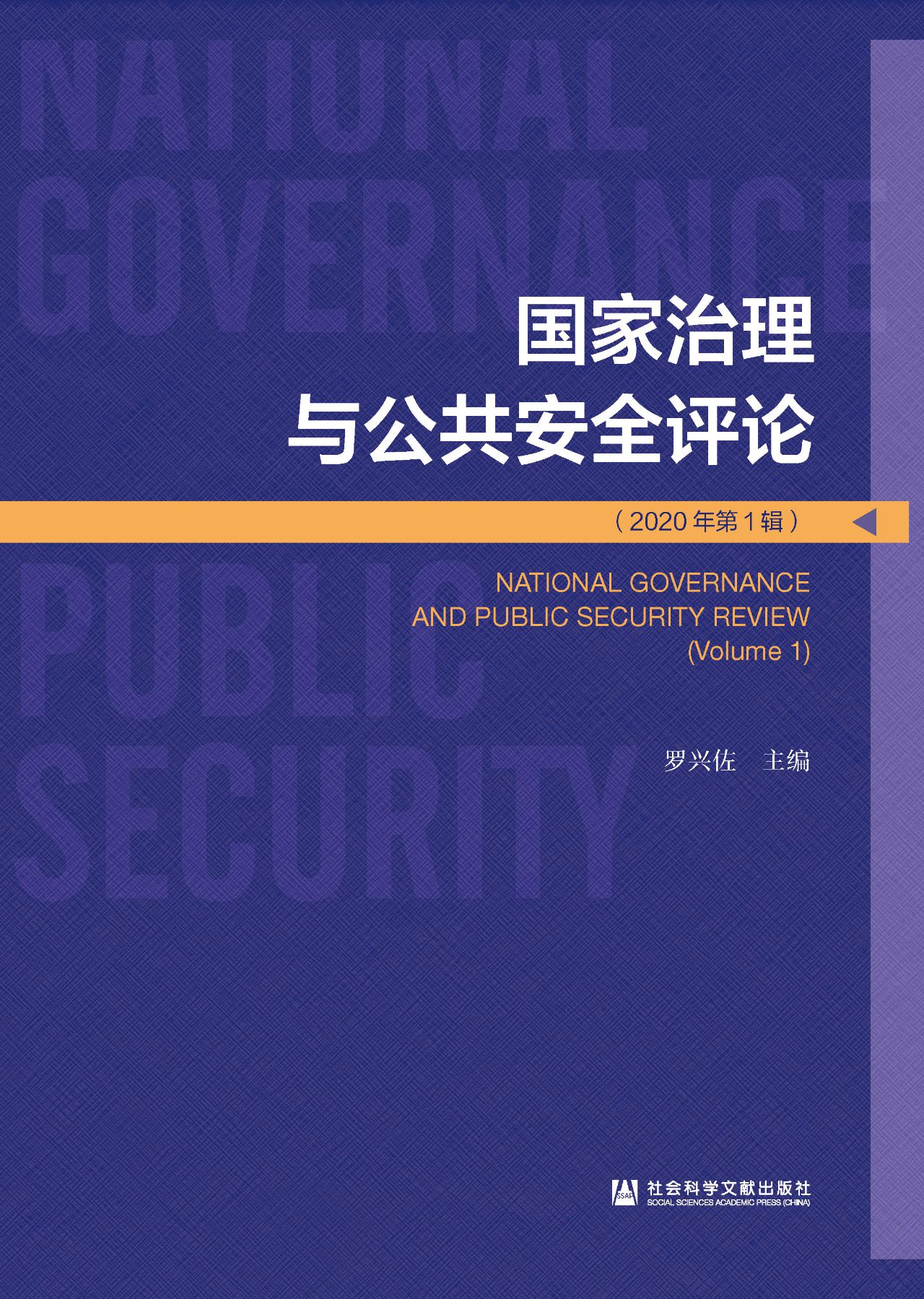 国家治理与公共安全评
