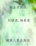 税法实例说