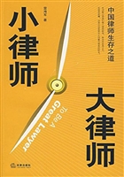 小律师 大律师