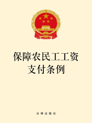 保障农民工工资支付条