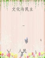 文化与民主