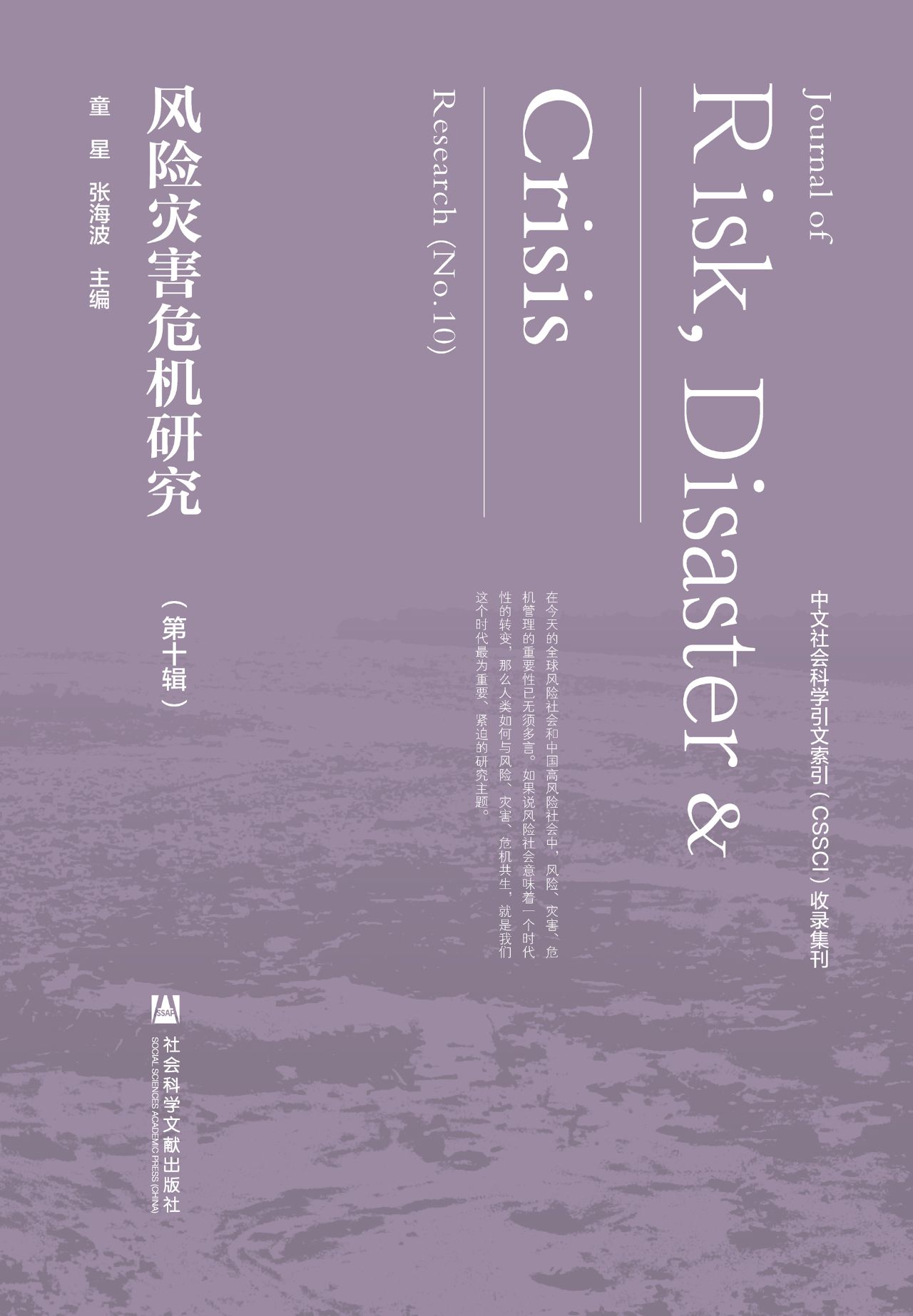风险灾害危机研究（第10