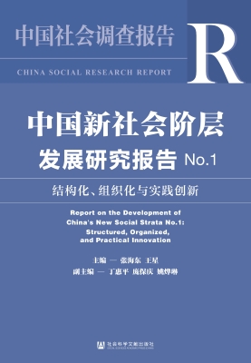 中国新社会阶层发展研