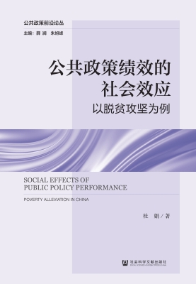 公共政策绩效的社会效