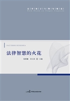 法律智慧的火花