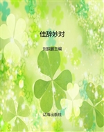 佳辞妙对