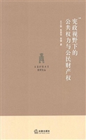 宪政视野下的公共权力