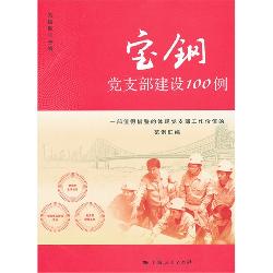 宝钢党支部建设100例