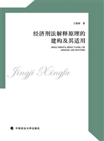 经济刑法解释原理的建