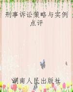 刑事诉讼策略与实例点