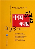 中国政治年报（2013年版