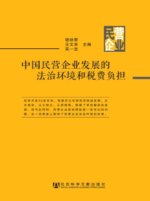 中国民营企业发展的法