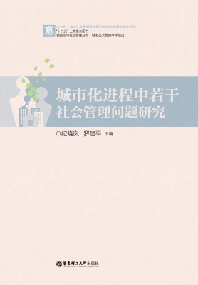 城市化进程中若干社会