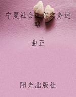 宁夏社会工作实务述略