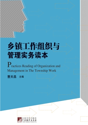 乡镇工作组织与管理实