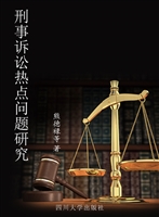 刑事诉讼热点问题研究
