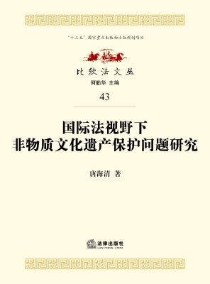 国际法视野下非物质文