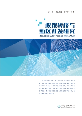 政策转移与新区开发研